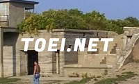 toeinet